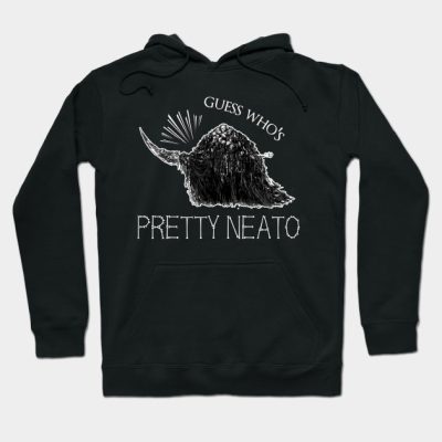 Guess Whos Pretty Neato Hoodie Official Dark Souls Merch